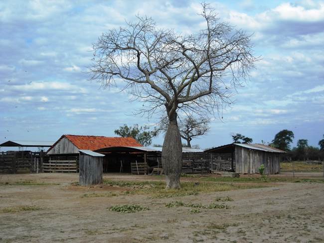 Los costos de las tierras varian si tienen alguna infraestructura montada. Foto: Miguel Armoa. 